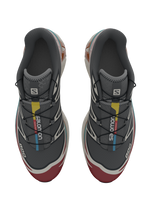 Salomon XT6 / 10 years Black/Red Dahlia/Meadowbrook