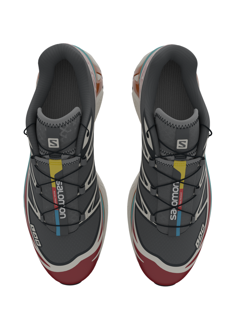Salomon XT6 / 10 years Black/Red Dahlia/Meadowbrook