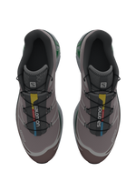 Salomon XT6 / 10 years Quail/Peppercorn/Amazon