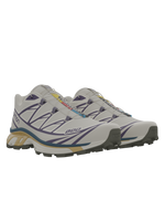 Salomon XT6 / 10 years Vanilla Ice/Rainy Day/Grape