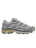 Salomon XT6 / 10 years Vanilla Ice/Rainy Day/Grape