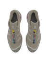 Salomon XT6 / 10 years Safari/Vintage Khaki/Castor Gray
