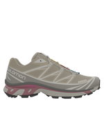 Salomon XT6 / 10 years Safari/Vintage Khaki/Castor Gray
