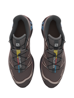 Salomon XT6 / 10 years Madder Brown/Mocha Mousse/Chocolate Plum