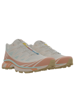 Salomon XT6 / 10 years Vanilla Ice/Yucca/Sun Baked