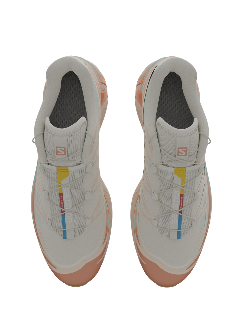 Salomon XT6 / 10 years Vanilla Ice/Yucca/Sun Baked