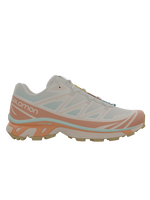Salomon XT6 / 10 years Vanilla Ice/Yucca/Sun Baked
