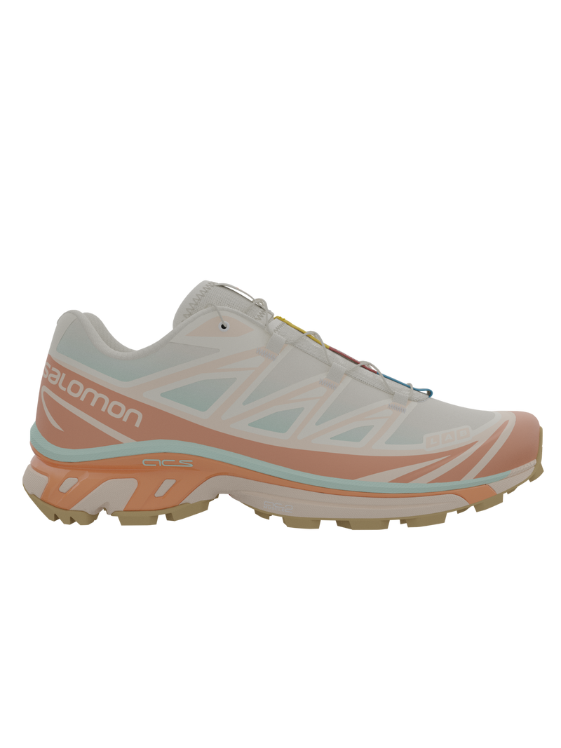 Salomon XT6 / 10 years Vanilla Ice/Yucca/Sun Baked