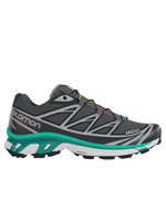 Salomon XT6 / 10 years Black/White/Mint Leaf